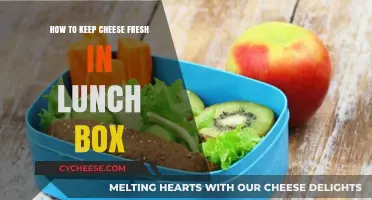Smart Tips to Keep Cheese Fresh in Your Lunch Box