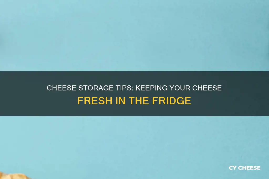 how to keep cheese fresh in the fridge