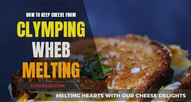 Preventing Clumping: Melting Cheese the Right Way