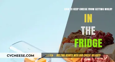 Preventing Moldy Cheese: Tips for Fridge Storage