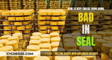 Keep Cheese Fresh: Seal and Store Right