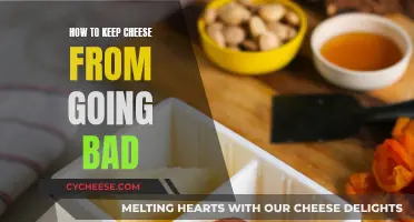 Keep Cheese Fresh: Tips to Avoid Mold