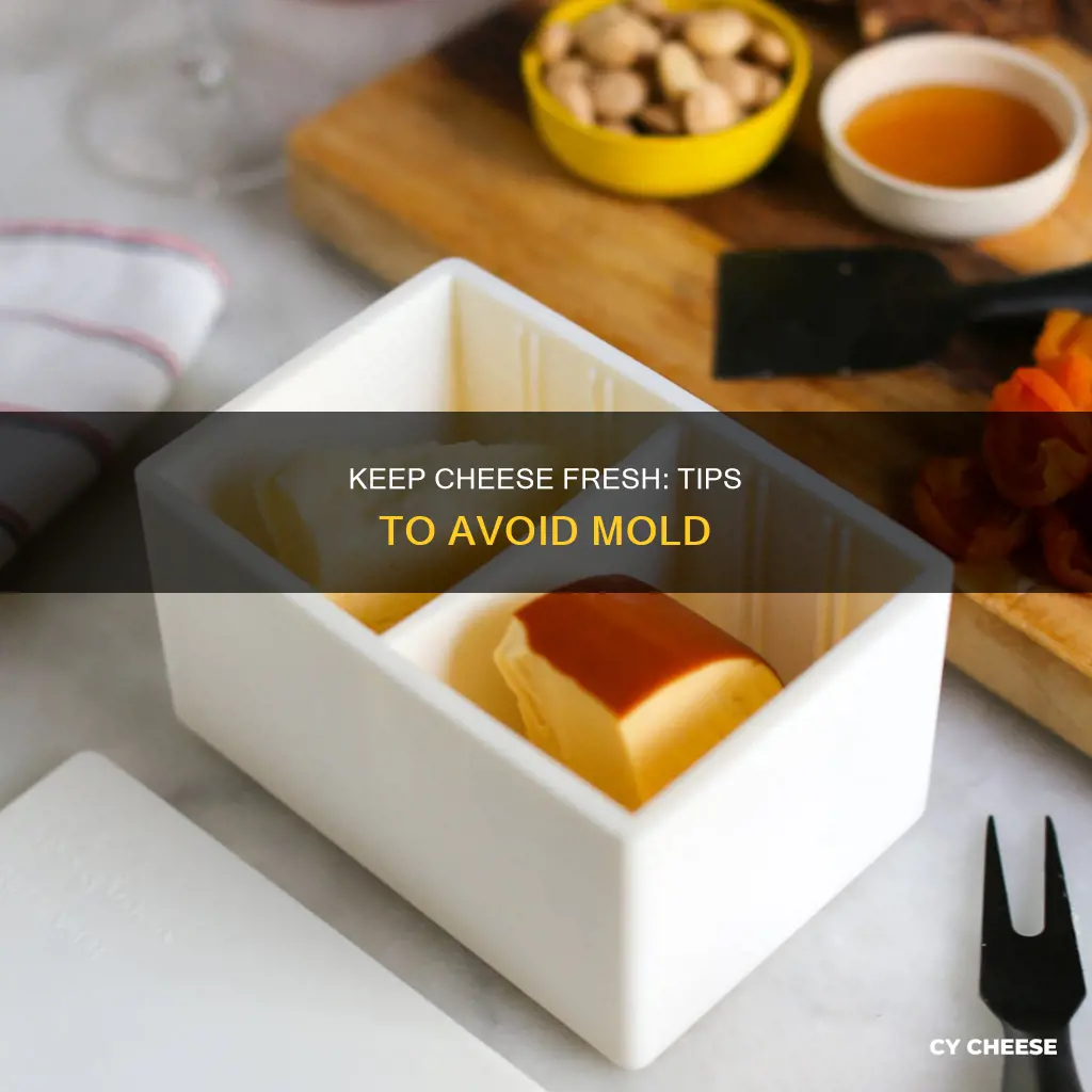 how to keep cheese from going bad