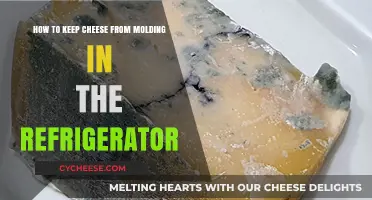 Prevent Cheese Mold: Effective Refrigerator Storage Tips for Freshness
