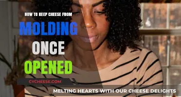 Prevent Cheese Mold: Smart Storage Tips for Freshness After Opening