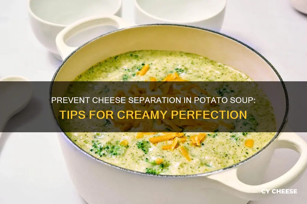 how to keep cheese in potato soup from separating