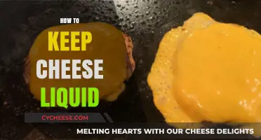 Mastering Melty Cheese: Tips to Keep It Liquid and Luscious