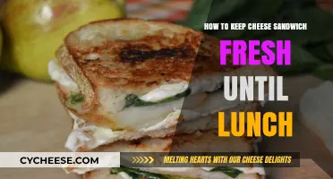 Fresh Cheese Sandwich Tips: Keep Your Lunch Delicious All Morning