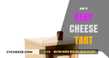 Mastering Cheese Tart Storage: Tips to Keep It Fresh and Delicious