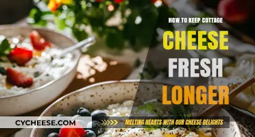 Extend Cottage Cheese Shelf Life: Simple Tips for Freshness