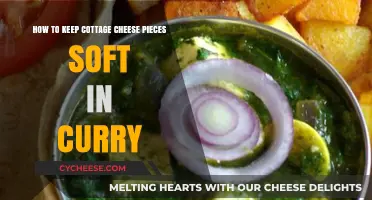 Soft Cottage Cheese in Curry: Simple Tips for Perfect Texture