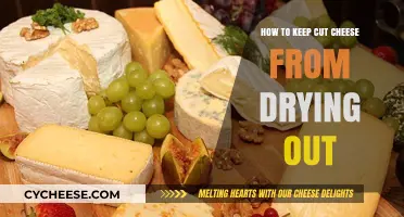Prevent Cut Cheese from Drying: Simple Storage Tips for Freshness