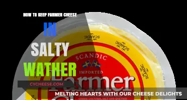 Preserving Farmer Cheese in Saltwater: A Simple Storage Guide