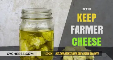 Preserving Farmer Cheese: Tips for Freshness and Longevity