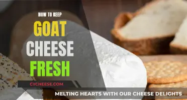 Master the Art of Goat Cheese Preservation: Tips for Freshness