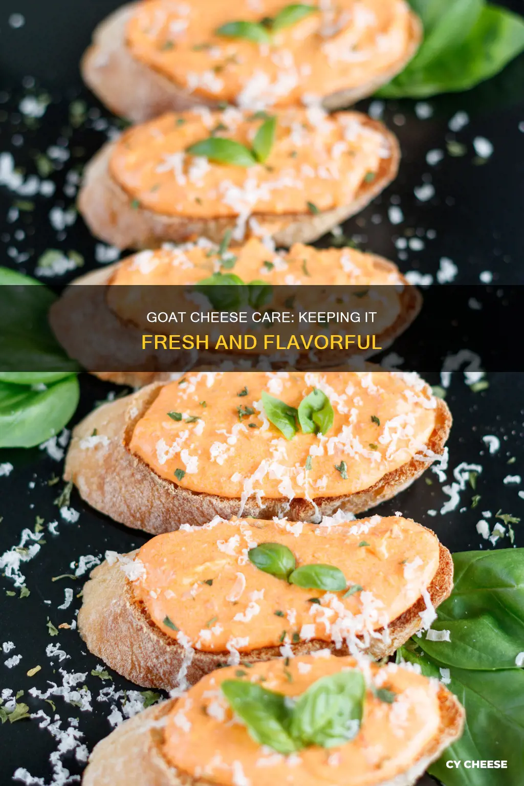 how to keep goat cheese from going bad