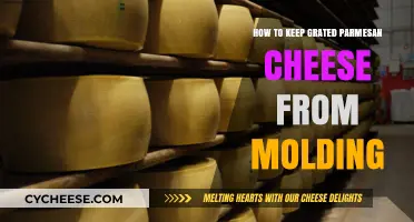 Keep Grated Parmesan Cheese Fresh: Avoid Molding