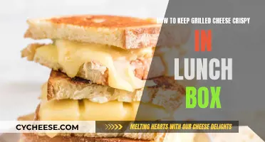 Keep Grilled Cheese Crispy: Lunch Box Tricks and Tips
