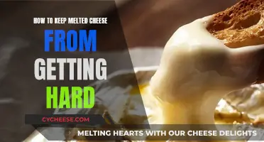 Keep Your Cheese Soft and Gooey After Melting