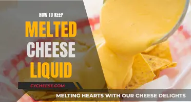 Keeping Cheese Melty: Tips for Maintaining Liquid Gold