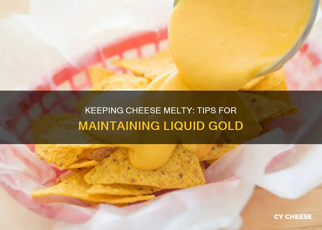 how to keep melted cheese liquid