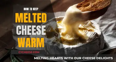 Keeping Cheese Warm: Tips and Tricks