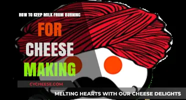 Prevent Milk Burning: Essential Tips for Perfect Cheese Making