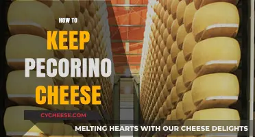 Mastering Pecorino Storage: Tips to Keep Your Cheese Fresh Longer