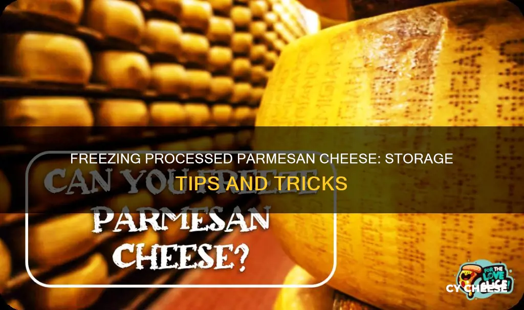 how to keep processed parmesean cheese in freezer