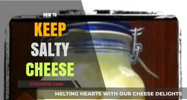 Preserving Salty Cheese: Expert Tips for Long-Lasting Freshness and Flavor