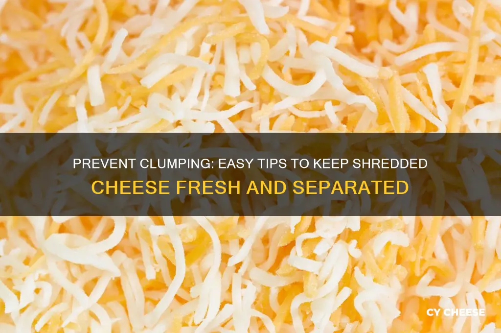 how to keep shredded cheese from sticking together