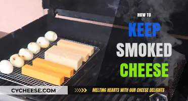 Proper Storage Tips for Preserving Smoked Cheese Freshness and Flavor
