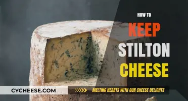 Mastering Stilton Storage: Tips to Preserve Its Rich Flavor and Texture