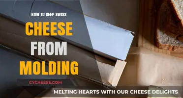 Preventing Swiss Cheese Mold: Tips for Keeping it Fresh
