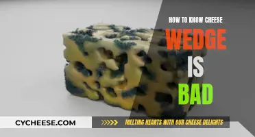 Detecting Spoiled Cheese Wedges: What to Look For