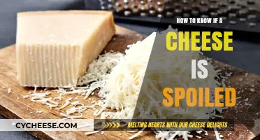 Is Your Cheese Still Good? Signs of Spoilage to Watch For