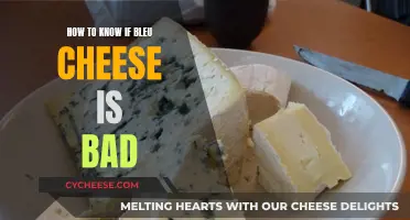 Detecting Bad Blue Cheese: What to Look For