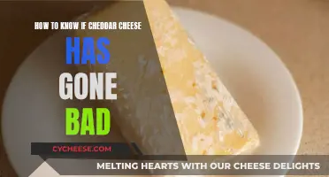 Cheddar's Spoiled Secret: Unveiling the Signs of Stale Cheese