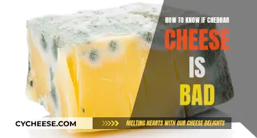 Cheddar's Spoiled Secret: Unveiling the Signs of Stale Cheese