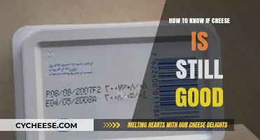 Cheese Storage: How to Know If It's Still Good?