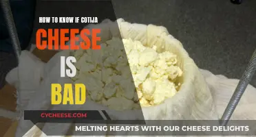 Spotting Bad Cotija Cheese: What to Look For