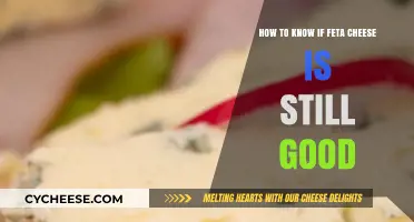 Feta Cheese: How Long Does It Last?