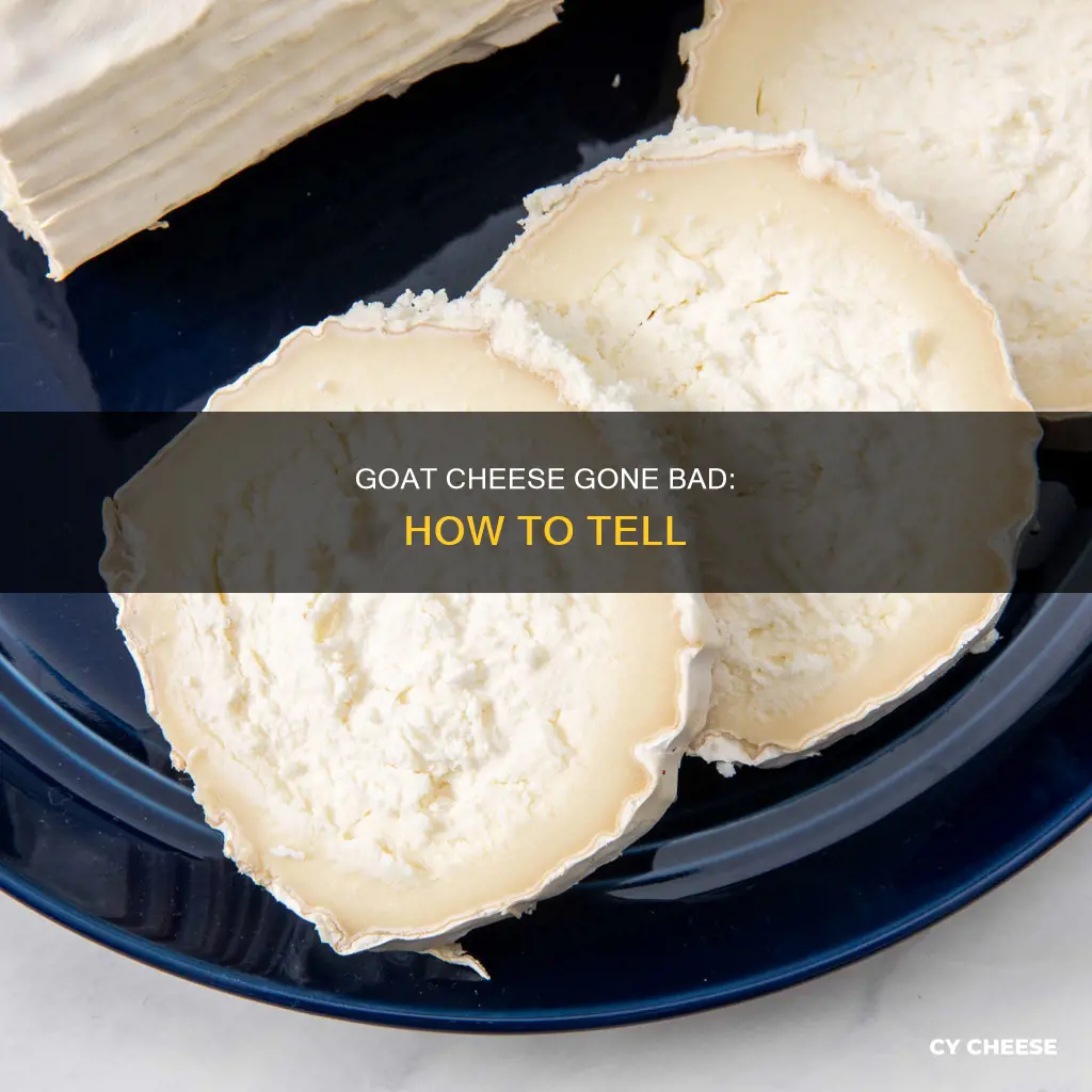 how to know if goat cheese is bad