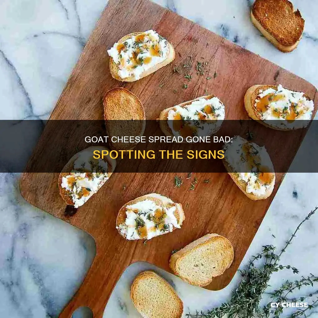 how to know if goat cheese spread is bad