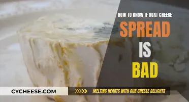 Goat Cheese Spread: How to Know If It's Bad