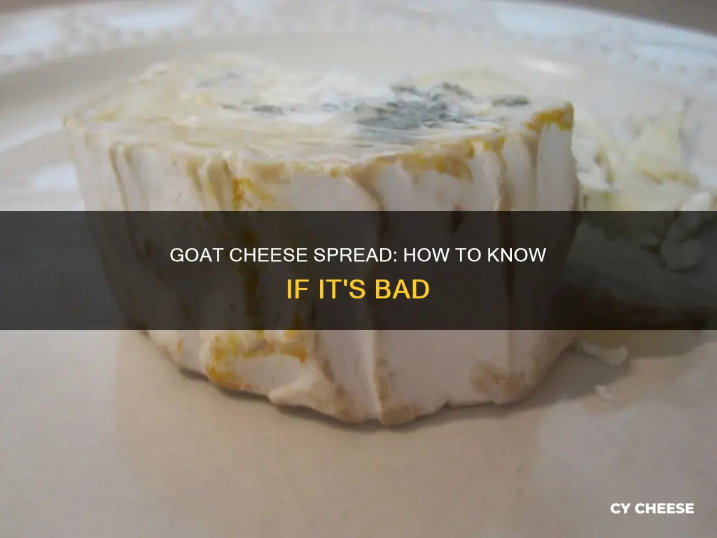 how to know if goat cheese spread is bad