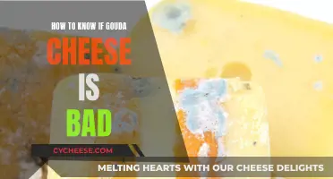 Spotting Spoiled Gouda: What to Look For