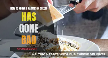 Detecting Bad Parmesan Cheese: What to Look For