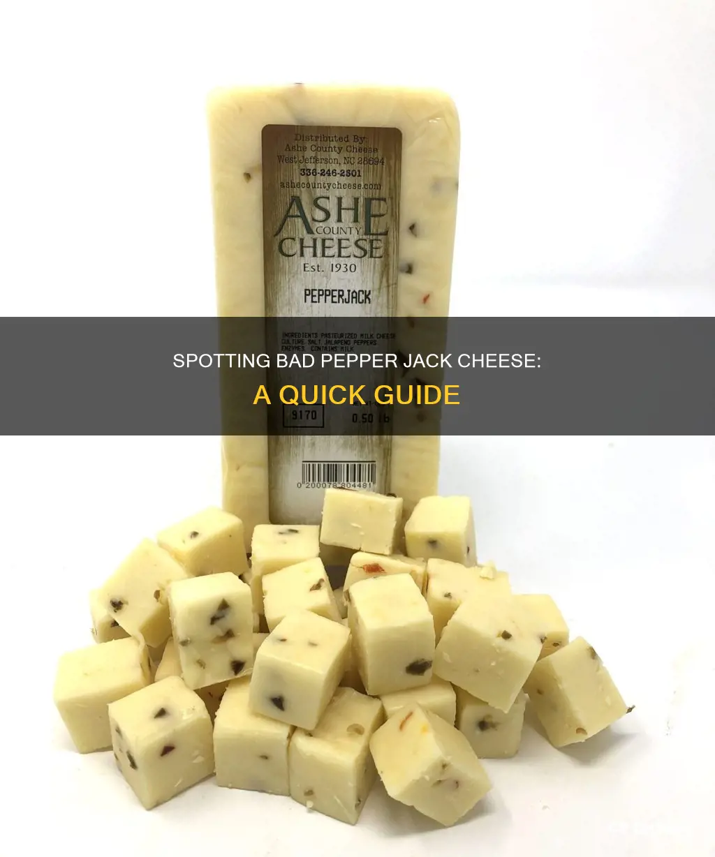 how to know if pepper jack cheese is bad