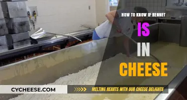 Is Your Cheese Vegetarian? How to Detect Rennet in Cheese